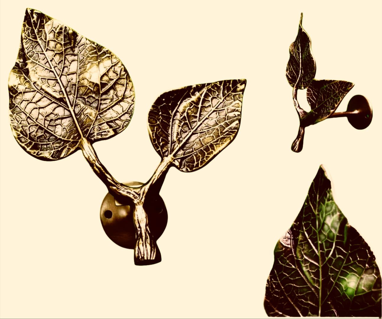 WhatsApp Image 2026-03-20 at 3.29.39 PM (1)