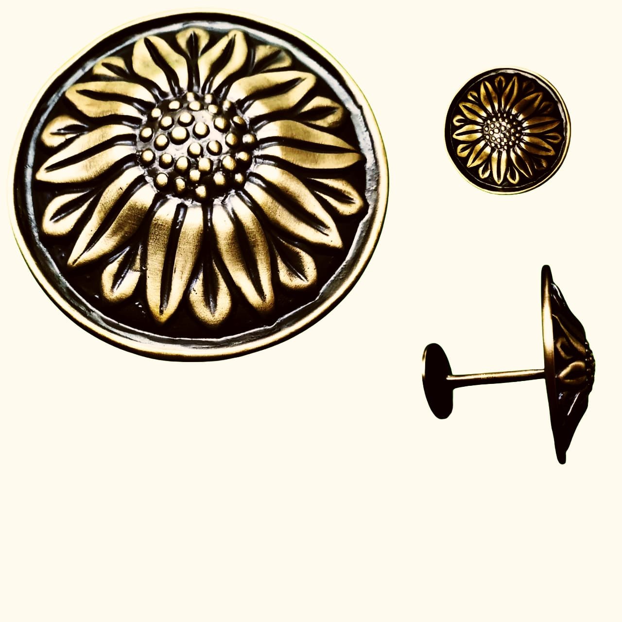 WhatsApp Image 2026-03-20 at 3.29.40 PM