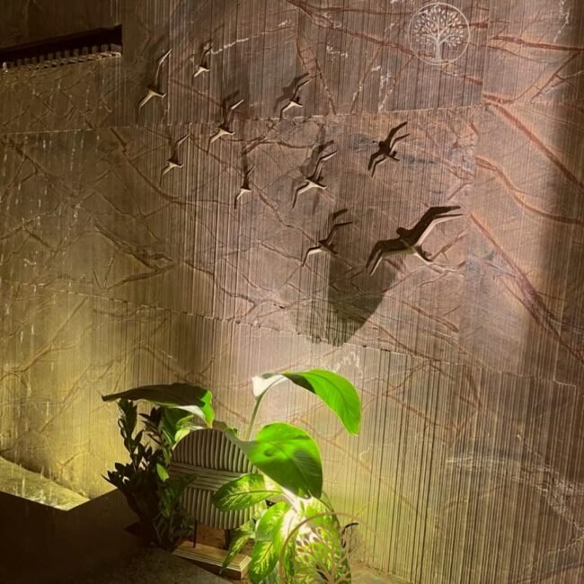 WhatsApp Image 2026-03-20 at 3.34.49 PM (1)